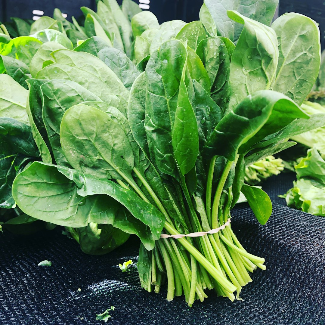 Fresh spinach